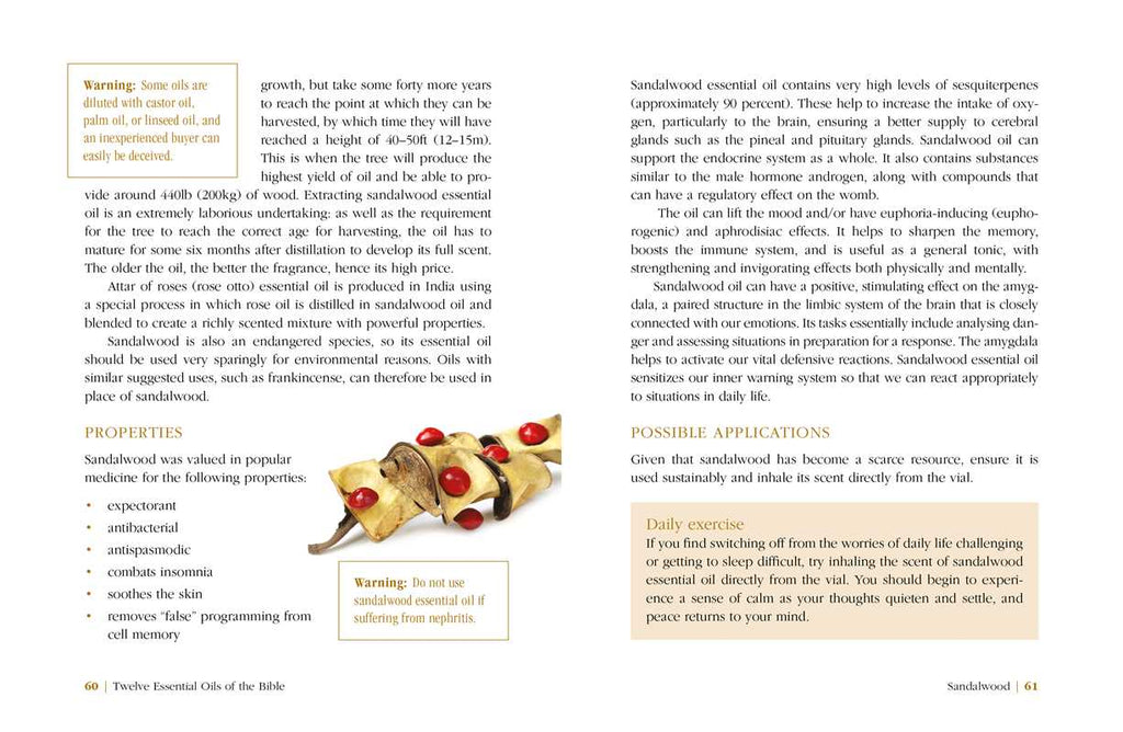 Twelve Essential Oils of the Bible by Karin Opitz-Kreher